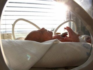 jarousek2_galerie-980