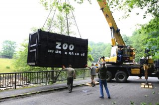 zoo_dk 2_presun_hrochu_do_vybehu_simona_jirickova_02