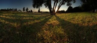 stinohra-prvni-misto-fejfar