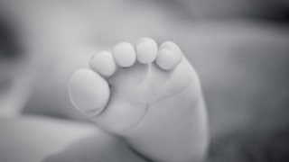 mimino-1-1357007259-1ec91a38-660x371