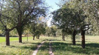 58053b18dc990-12033056_743992679044788_8998258450049297120_n