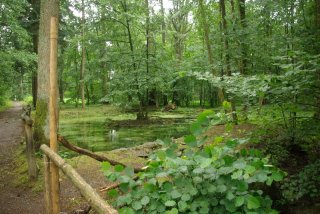 hrabc49bnc48dino-jezc3adrka-v-bac5beantnici-v-lc3a1znc3adcb-bc49blohradc49b-foto-vlac48fka-wildovc3a1