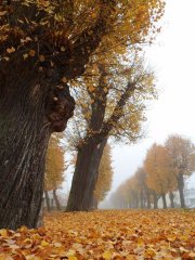 22540020_10214765615161783_1581306424774012528_n