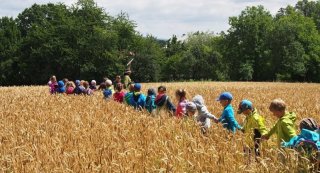 37410802_1322964247807367_9014519721554345984_n