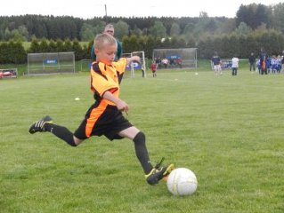gol-3