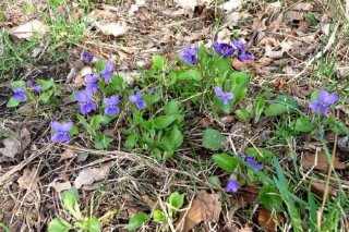 whxoktvsa4emirpmagdnto_cyndx4-4sqijydfc25ylli9ktdiusxrpgnqg_0seu-t5nigq