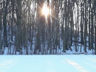 20180121_144247