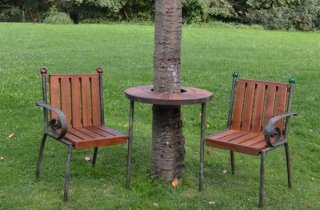 lavicka_obecna_1398776925