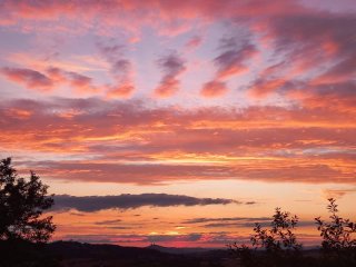 zebc3adn4-foto-lucie-krausovc3a1