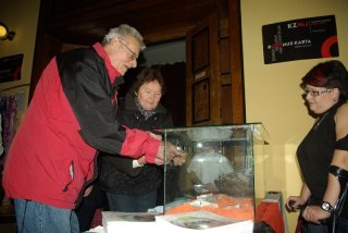 kotyskovi