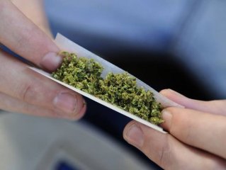 cannabis-afpgtv2