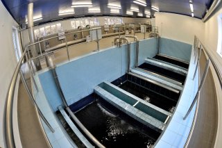 prikry_05 bazen titl