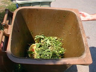 bioodpad_ve_sberne_nadobe