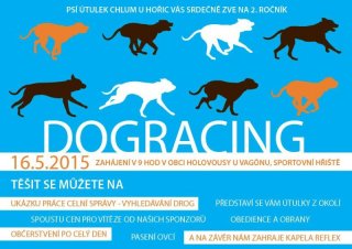 dogracing