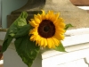 imgp3759