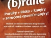 opera-na-brane-plakat