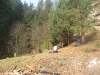 Pelisek 2
